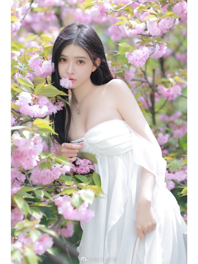 琅琊榜 封面